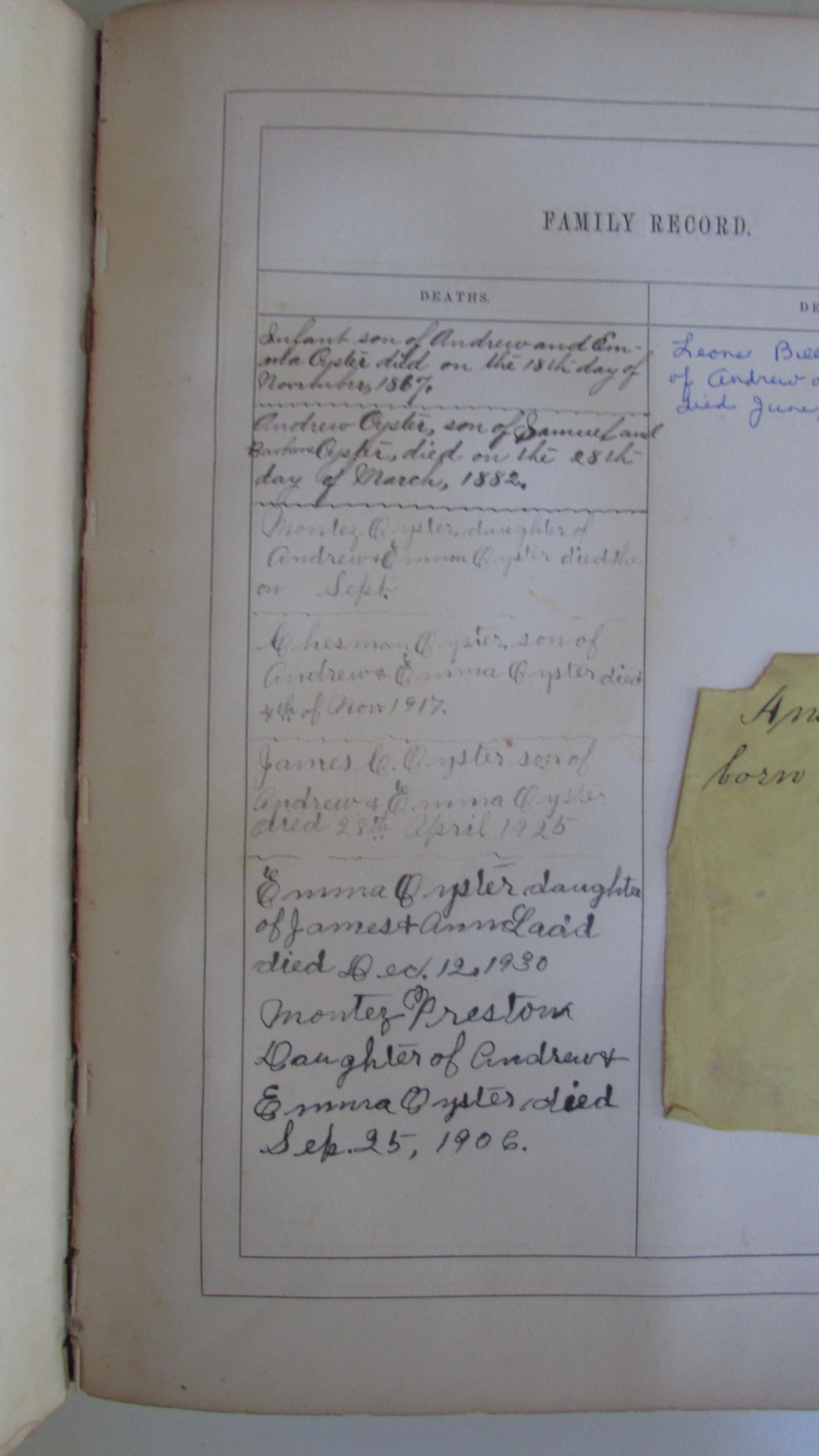 Third inscribed Family Record page - closeup