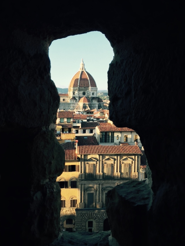 View of the Duomo from the battlements of the Palazzo Vecchio