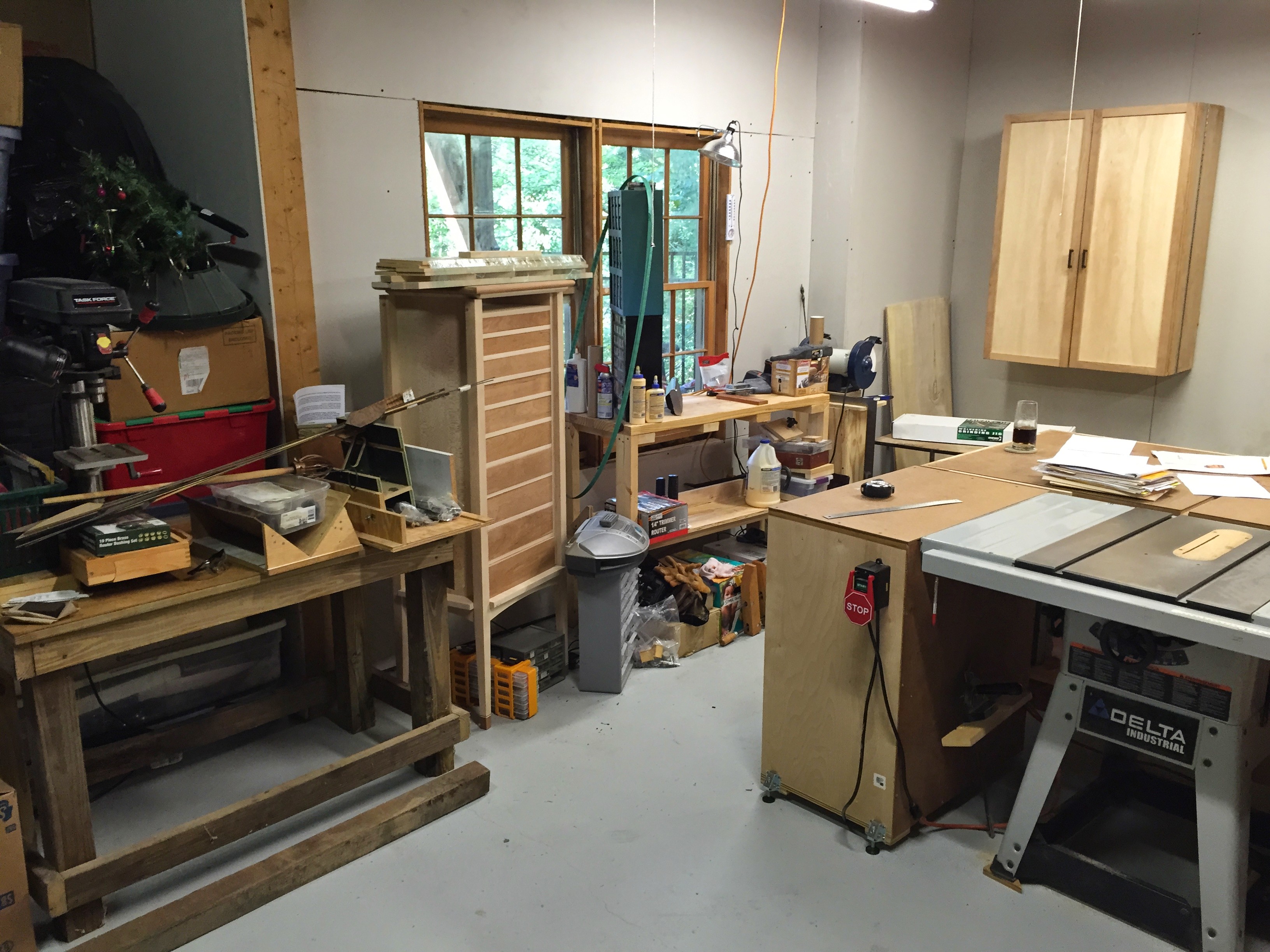 Left side of the shop, tablesaw and carving workbench