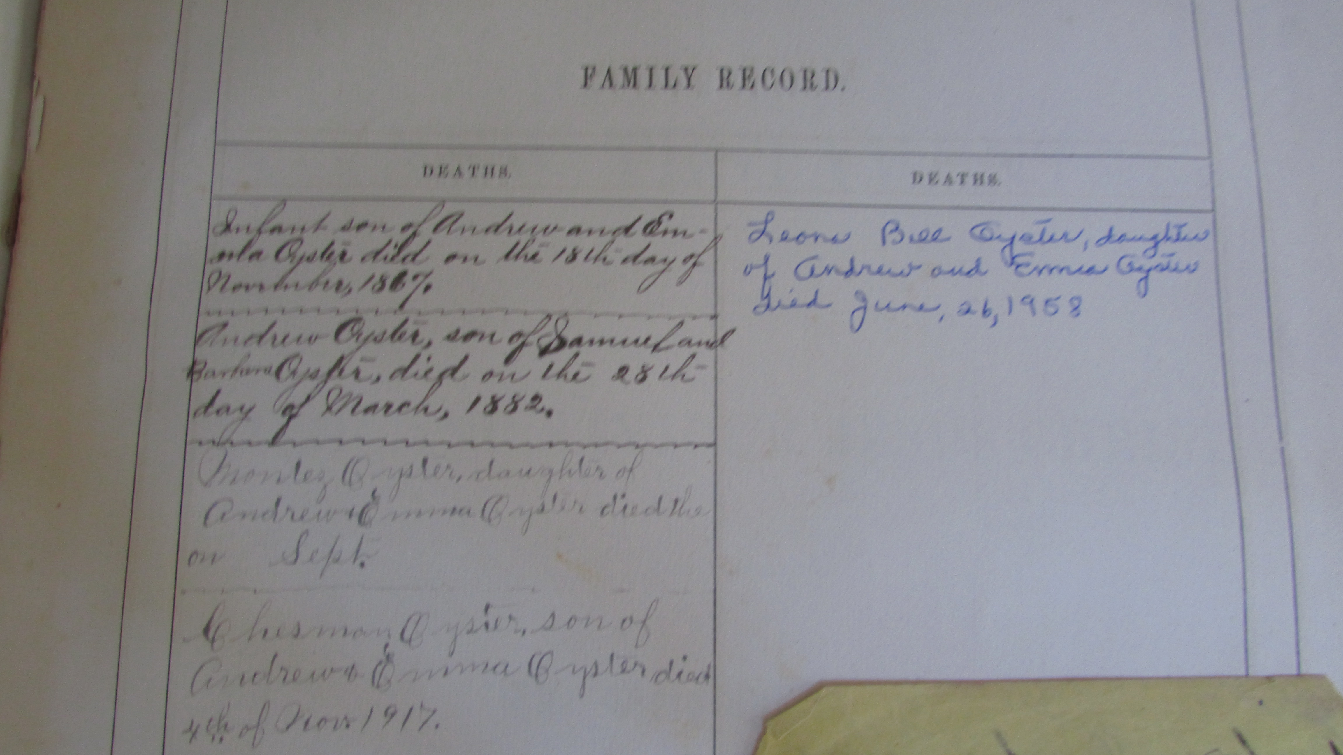 Third inscribed Family Record page - closeup 2